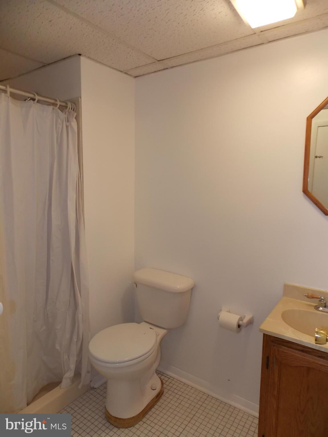252 Lake Riviera Road Pasadena, MD 21122 - Photo 21 of 30 Bath