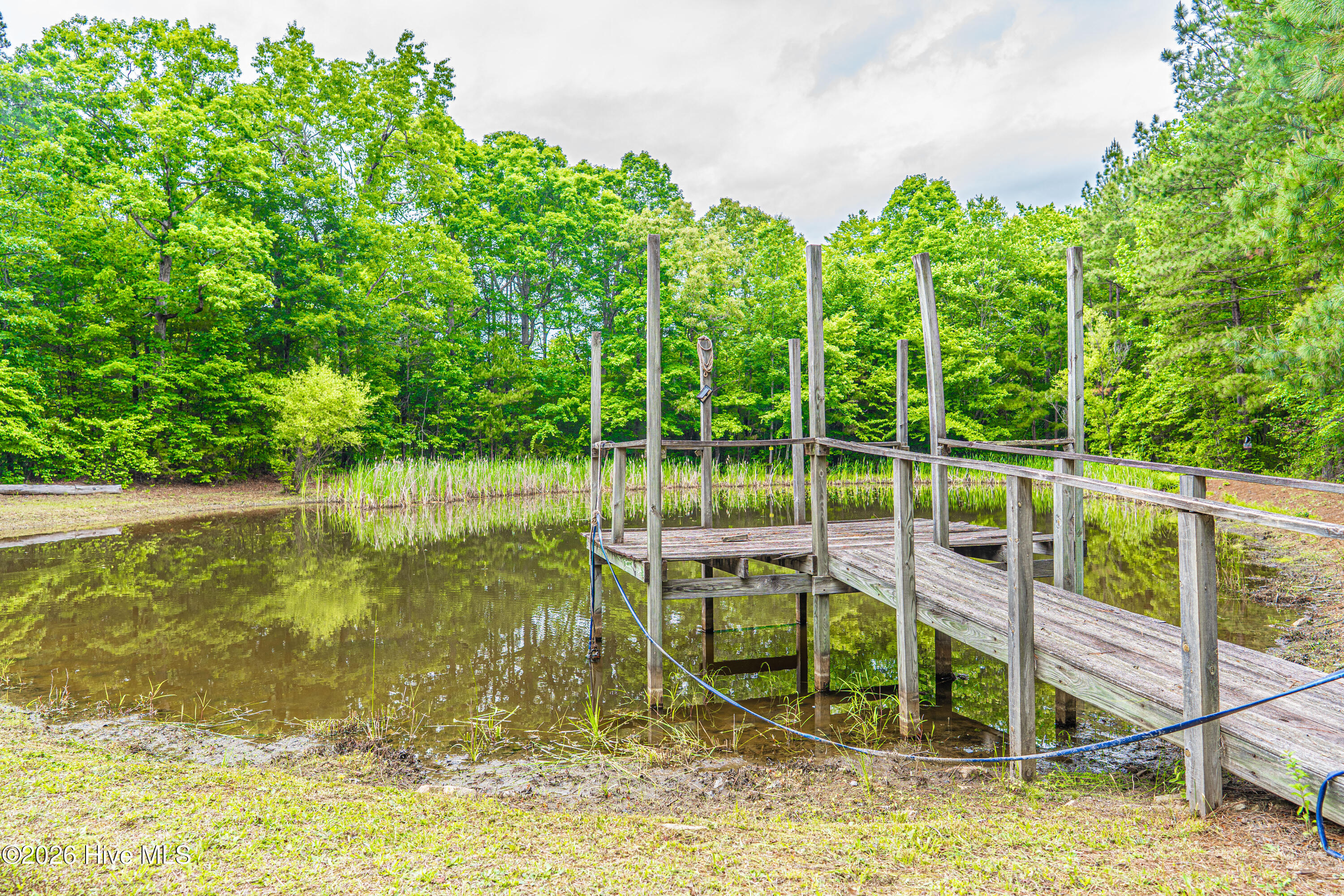 1246 Browns Mill Road Robbins, NC 27325 - Photo 31 of 44 DSC04172