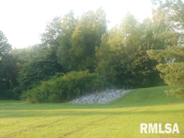 405 Ridgway Road Eldorado, IL 62930 - Photo 17 of 43 Gallery Image 17