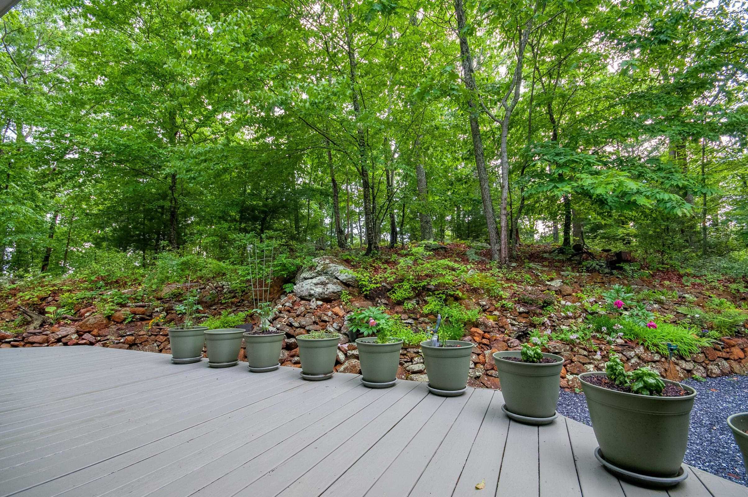 151 Stonebrook Road Amherst, VA 24521 - Photo 10 of 74 No lawns to mow, the surrounds are completely in forest, rhododendron and mountain laurel.