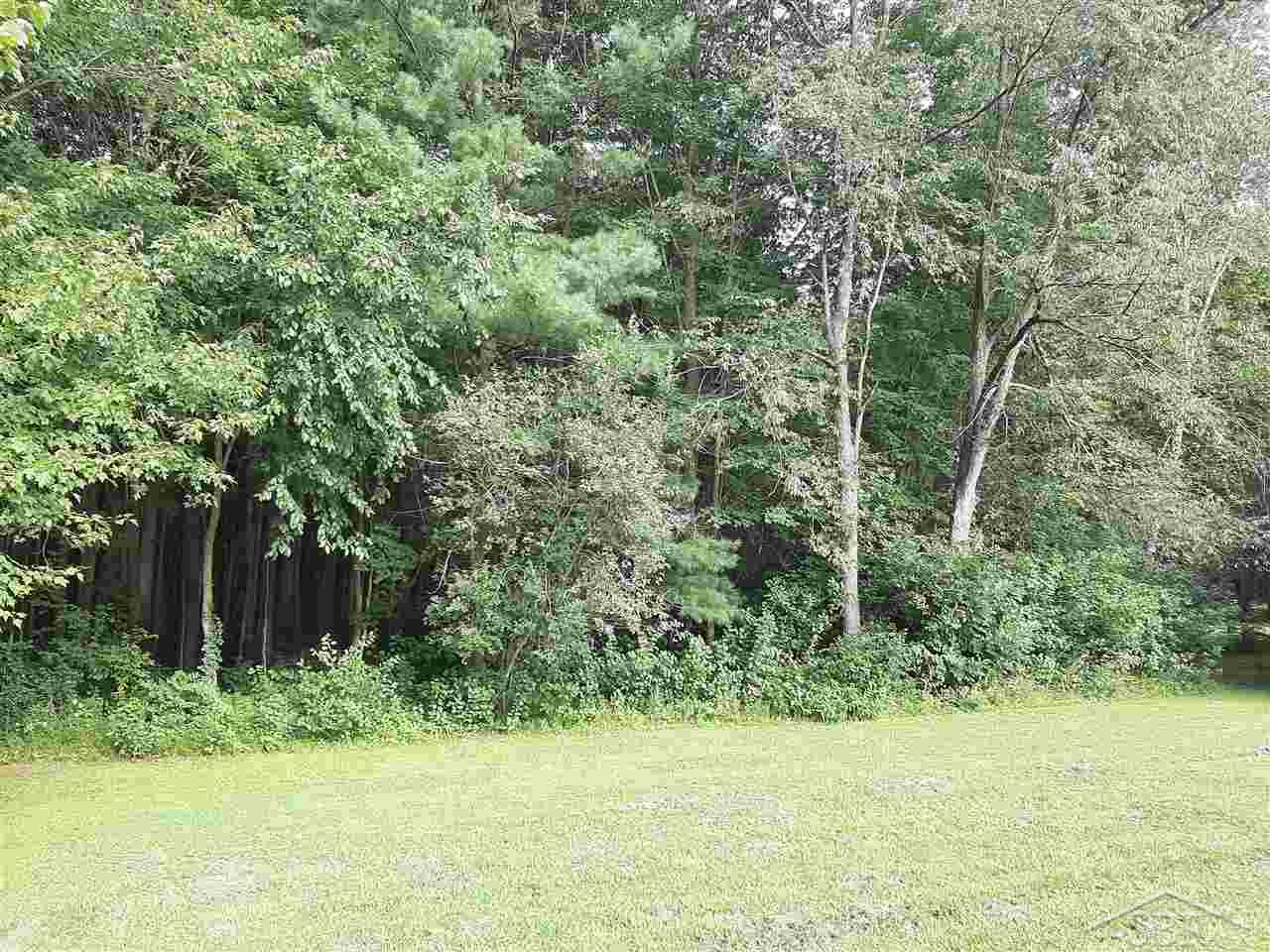 11237 Bell Road Burt, MI 48417 - Photo 8 of 8 50020182-7.JPG