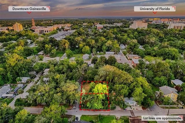 a view of a bunch of trees and houses