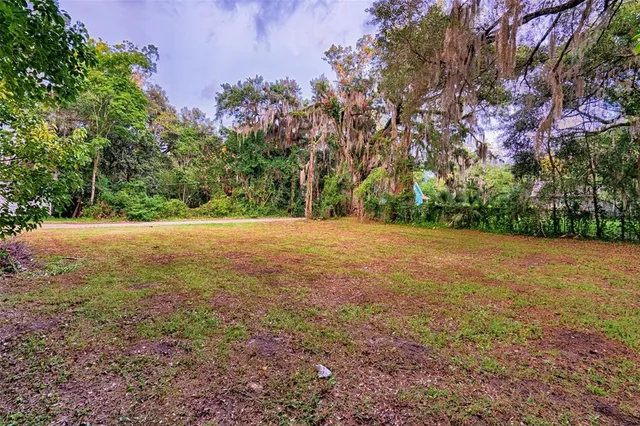 a view of outdoor space with trees all around