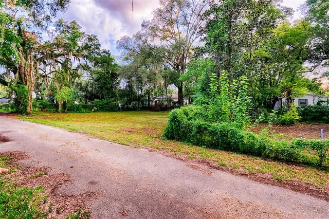 a view of a yard with plants and large trees