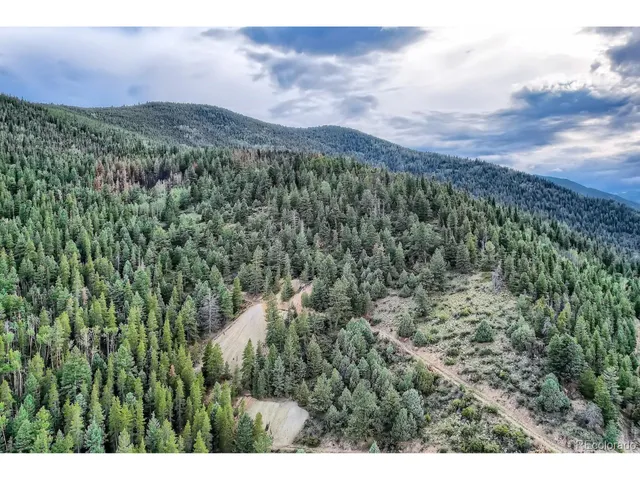a view of a city with lush green forest