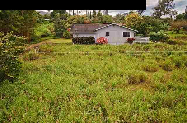 950 Akoa Place Haiku, HI 96708 - Photo 3 of 25 a picture of a big yard with large trees