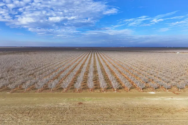 $6,680,000 | 0 West Elkhorn Avenue, Helm, CA 93627