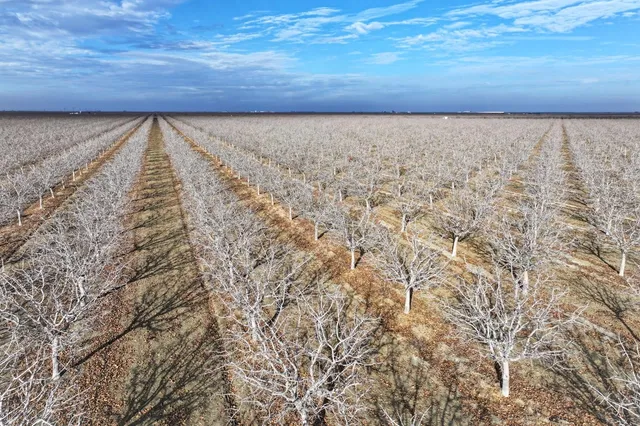 $6,680,000 | 0 West Elkhorn Avenue, Helm, CA 93627