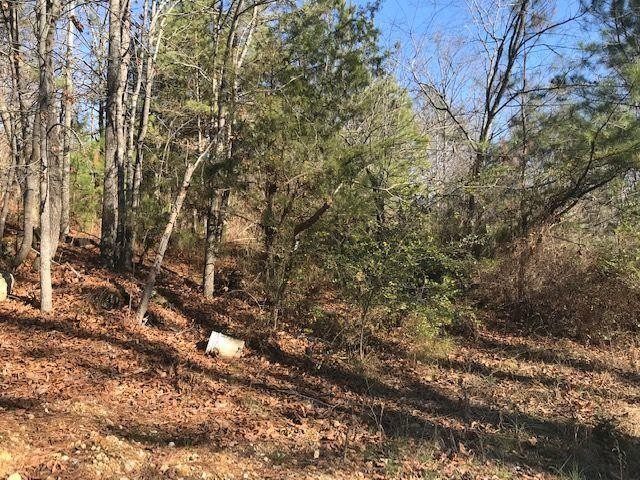 451 Hamil Hollow Road Ringgold, GA 30736 - Photo 2 of 7 Gallery Image 2