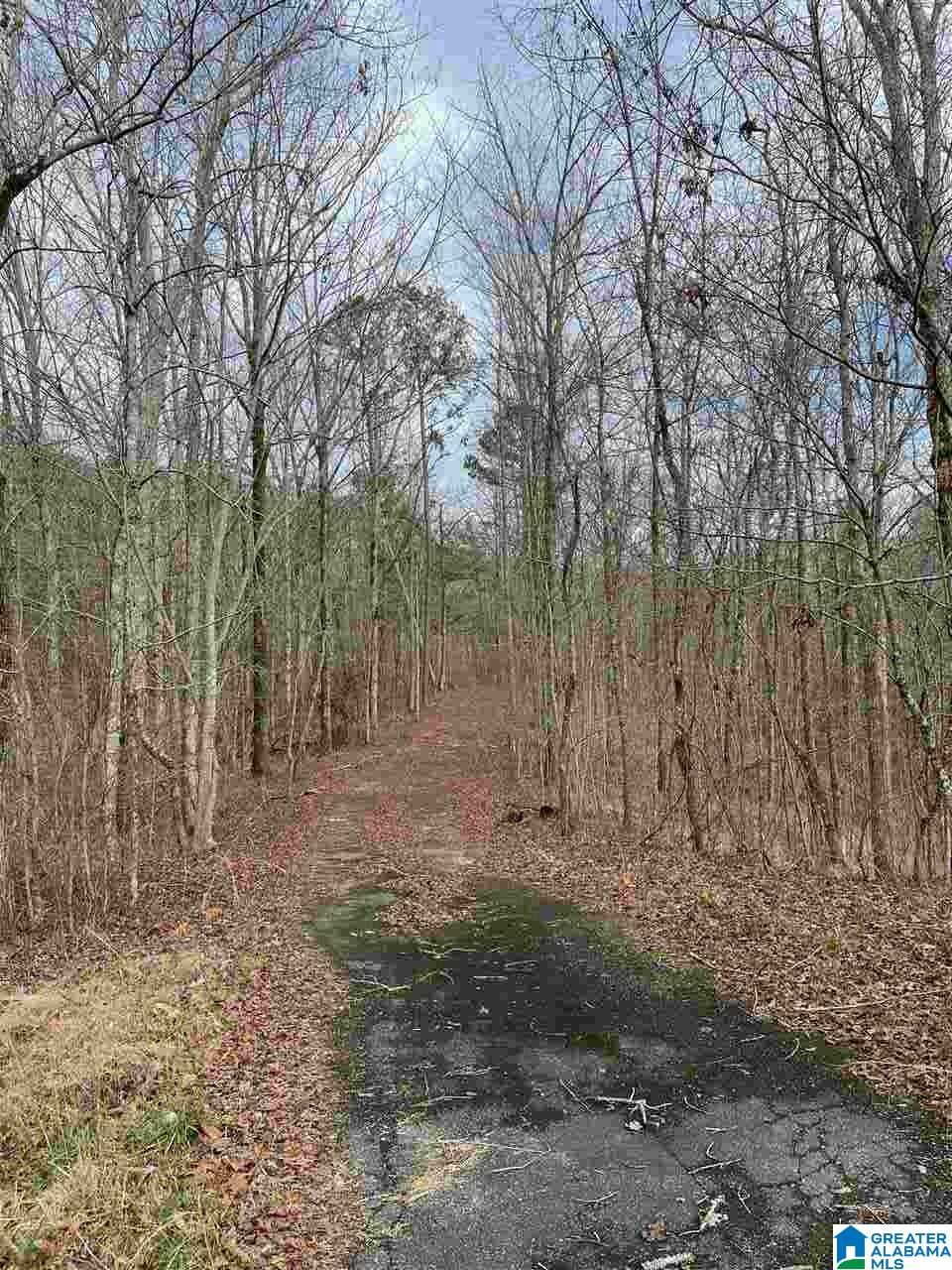 391 Amanda Lane Shelby, AL 35143 - Photo 8 of 9