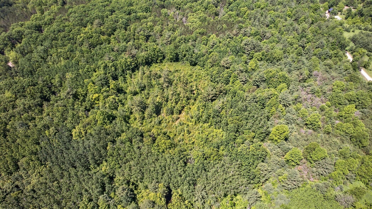 V/l South Deer Lake Road Reed City, MI 49677 - Photo 5 of 16
