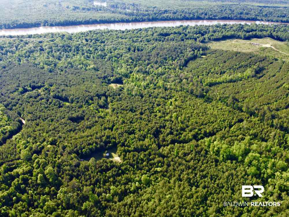 0 Country Road Uriah, AL 36480 - Photo 10 of 49