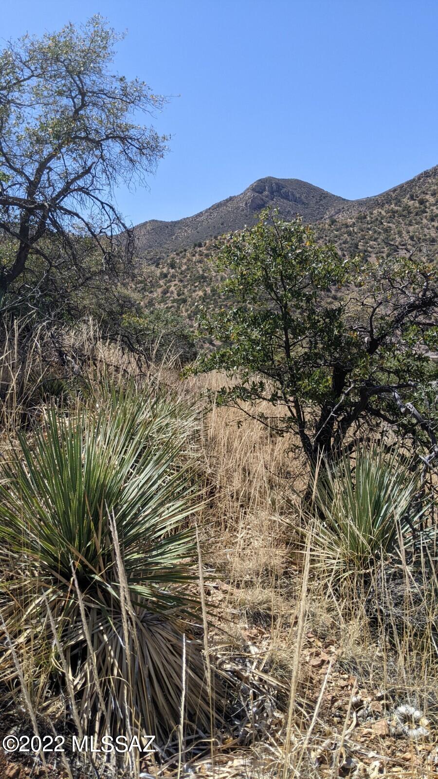 Tbd Adams Avenue, Unit MULTIPL Bisbee, AZ 85603 - Photo 21 of 35