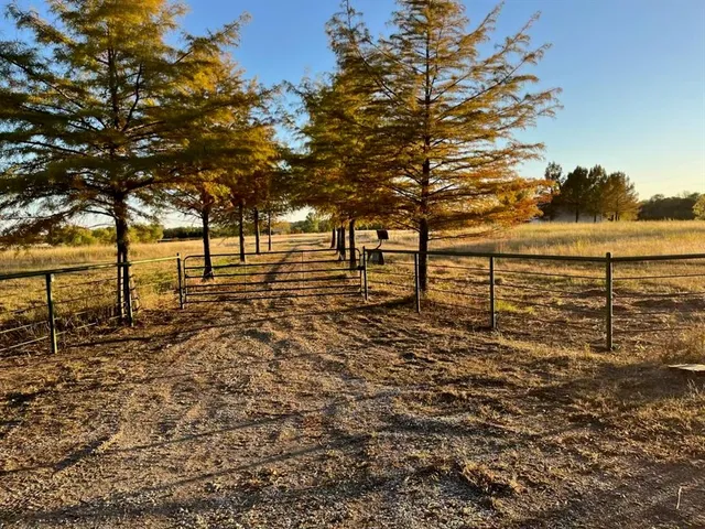 a view of lake with trees
