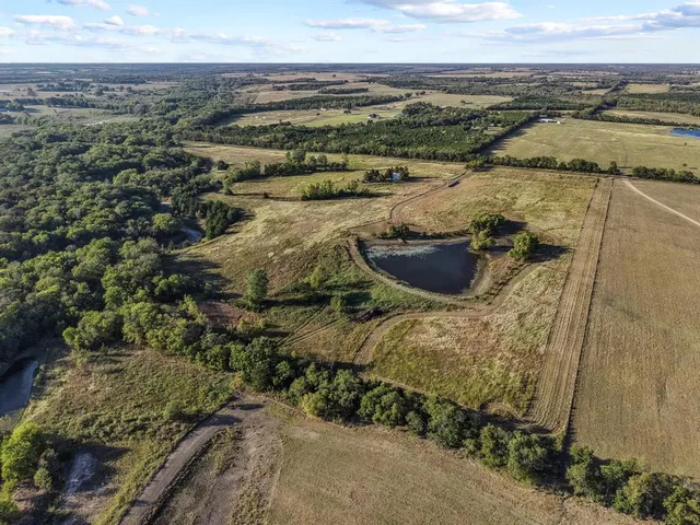 a vase of flowers sitting on a table