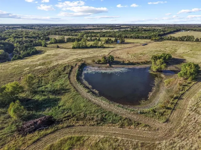 a close view of flowerpot