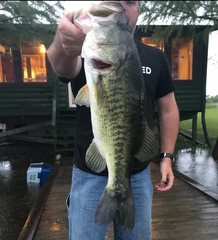 a view of a big yard with lots of green space and mountain view in back
