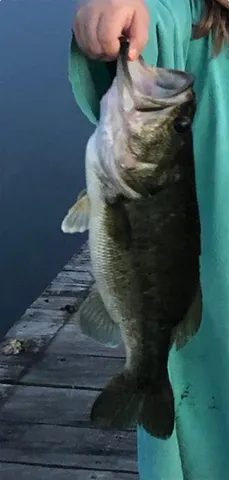 $797,500 | 300 County Road, Roxton, TX 75477