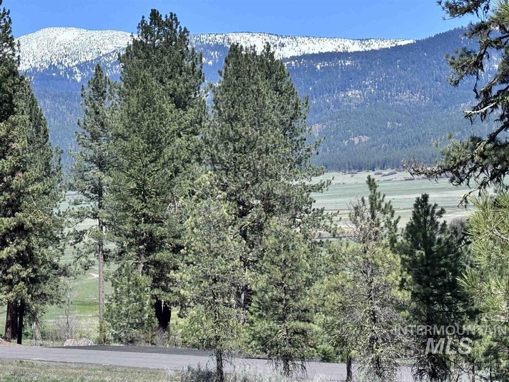 Lot 19 Hot Springs Road New Meadows, ID 83654 - Photo 18 of 28