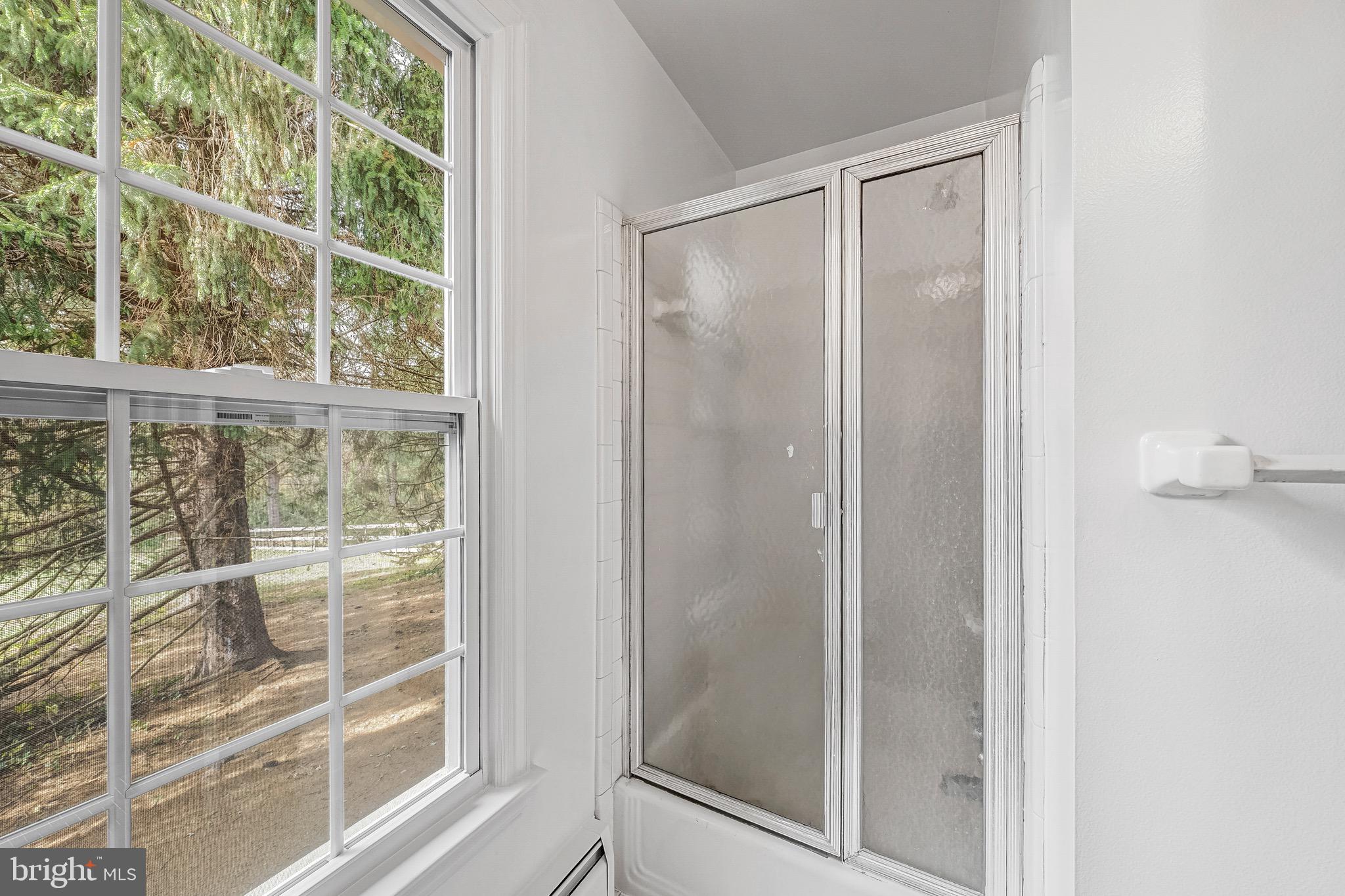 17747 Silcott Springs Road Purcellville, VA 20132 - Photo 28 of 42 a bathroom with a glass shower door