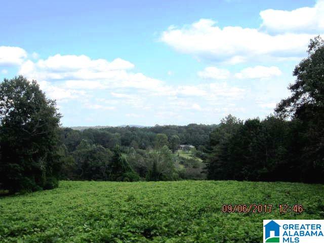 0 State Lake Road, Unit 31 ACRES Lineville, AL 36266 - Photo 13 of 15