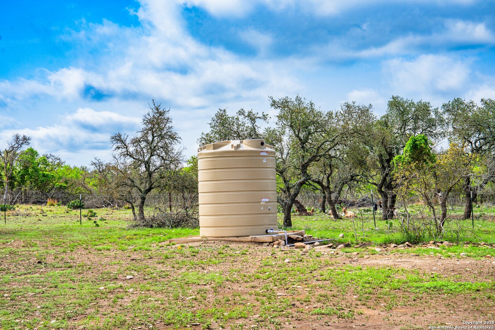 563 J B Road Harper, TX 78631 - Photo 21 of 41 a view of a house with a yard and large trees