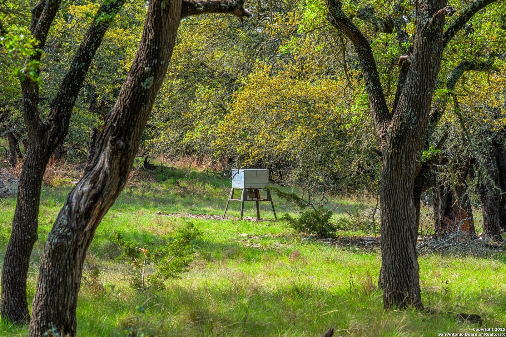 563 J B Road Harper, TX 78631 - Photo 24 of 41 a backyard of a house with lots of green space