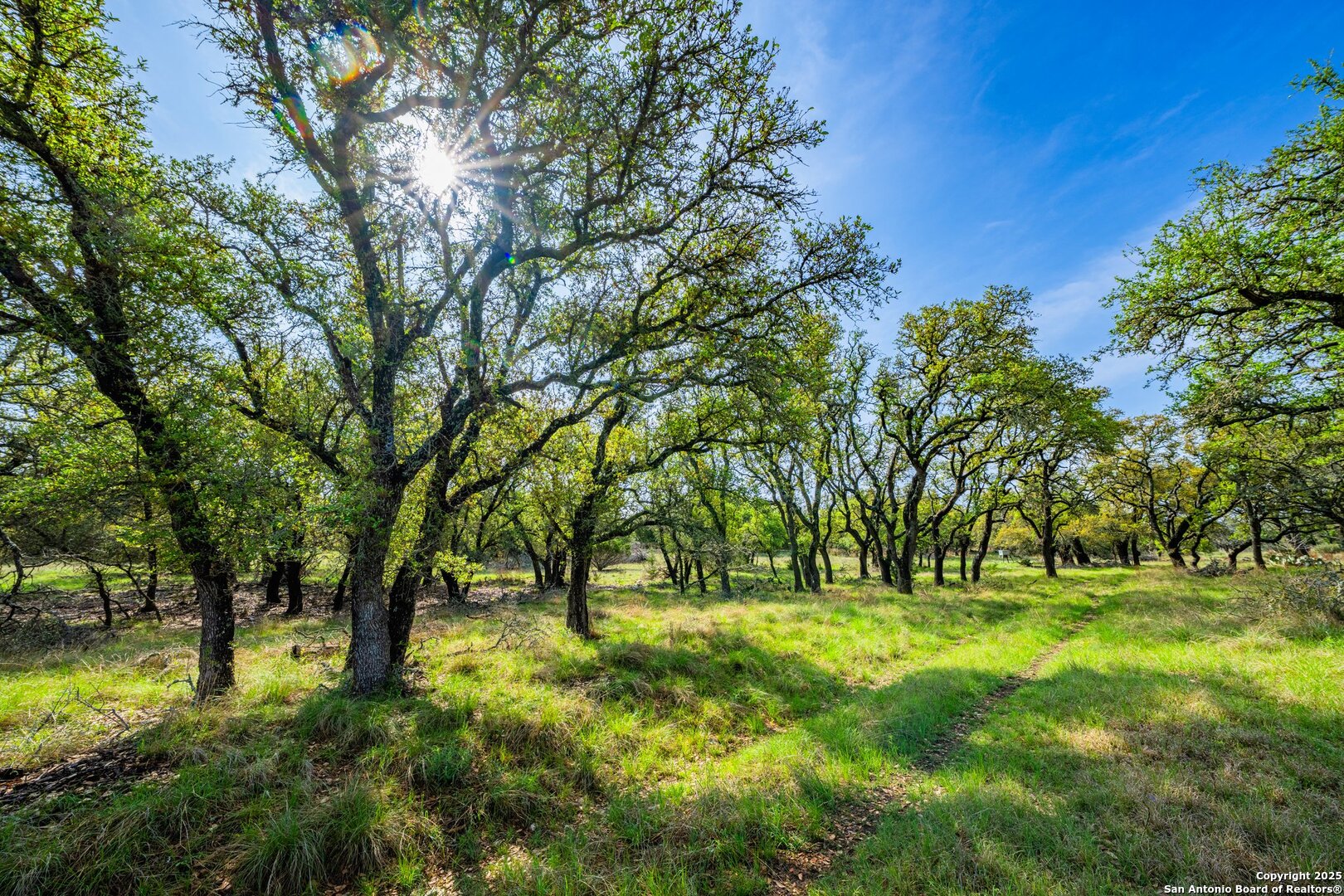563 J B Road Harper, TX 78631 - Photo 25 of 41 a view of park with trees