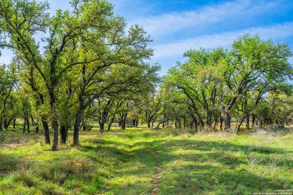 a huge green field with lots of trees