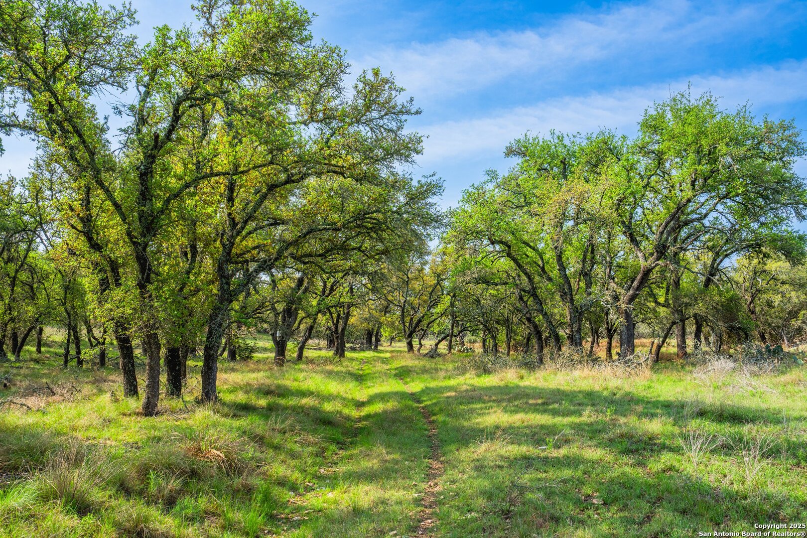 563 J B Road Harper, TX 78631 - Photo 26 of 41 a huge green field with lots of trees