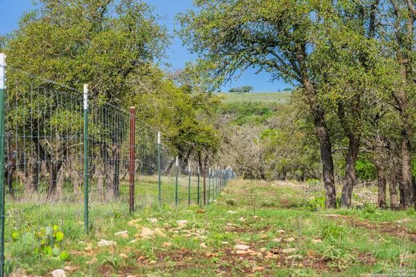 a view of backyard with green space
