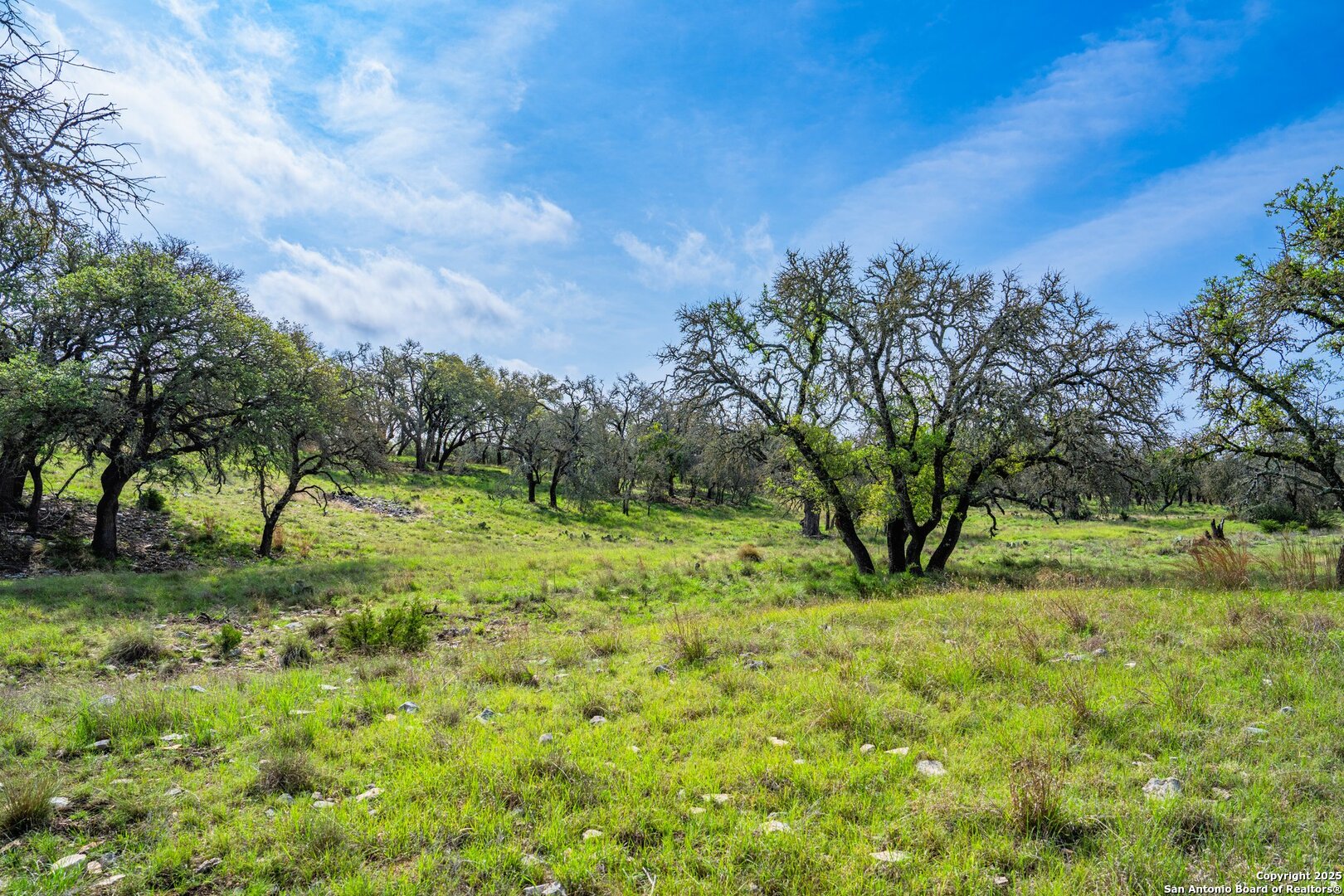 563 J B Road Harper, TX 78631 - Photo 32 of 41 a view of a yard with an trees