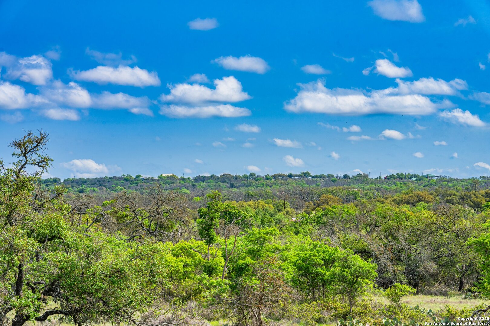 563 J B Road Harper, TX 78631 - Photo 33 of 41 a view of a lake with a yard
