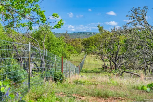 a view of a yard