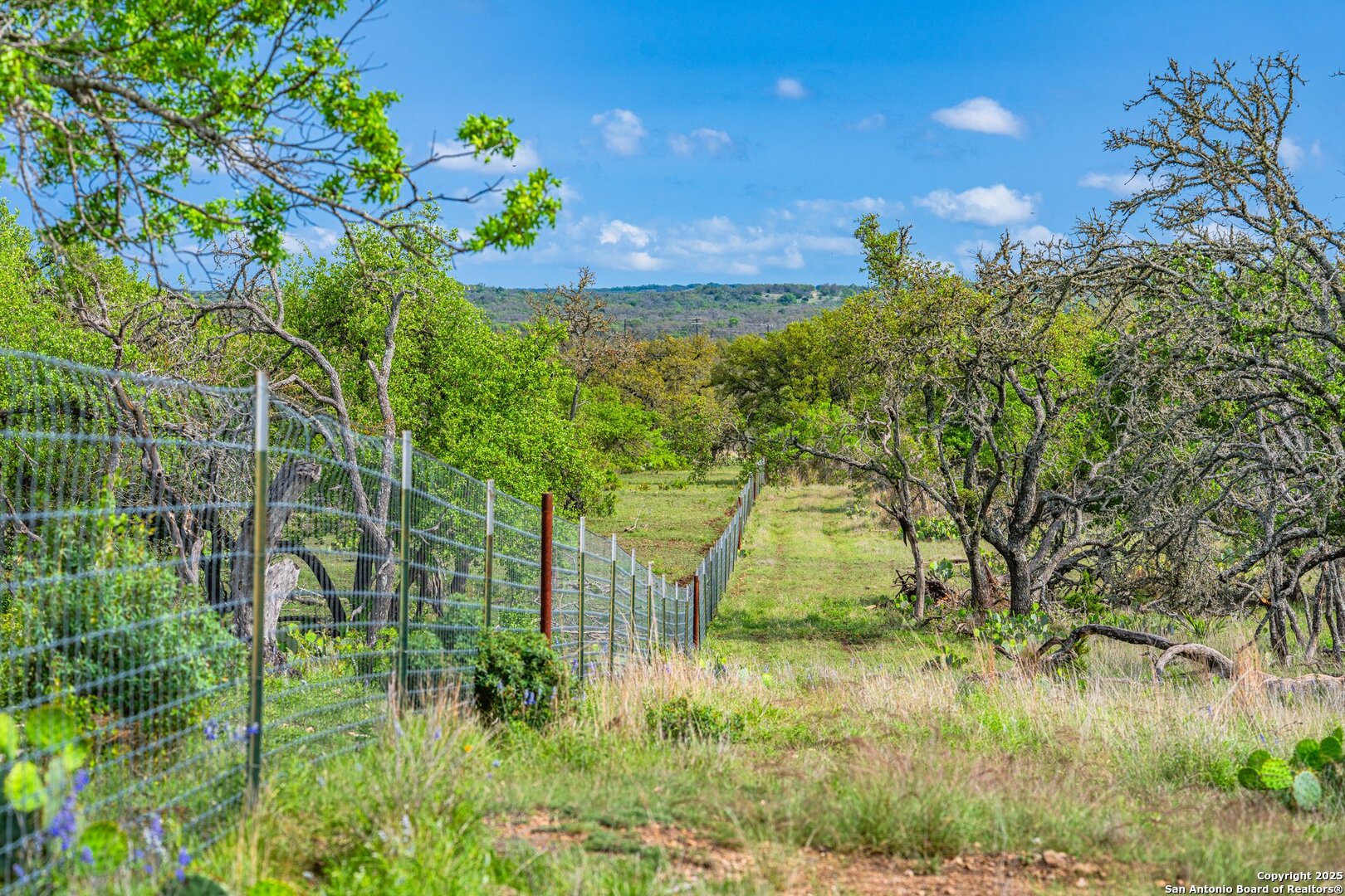 563 J B Road Harper, TX 78631 - Photo 35 of 41 a view of a yard