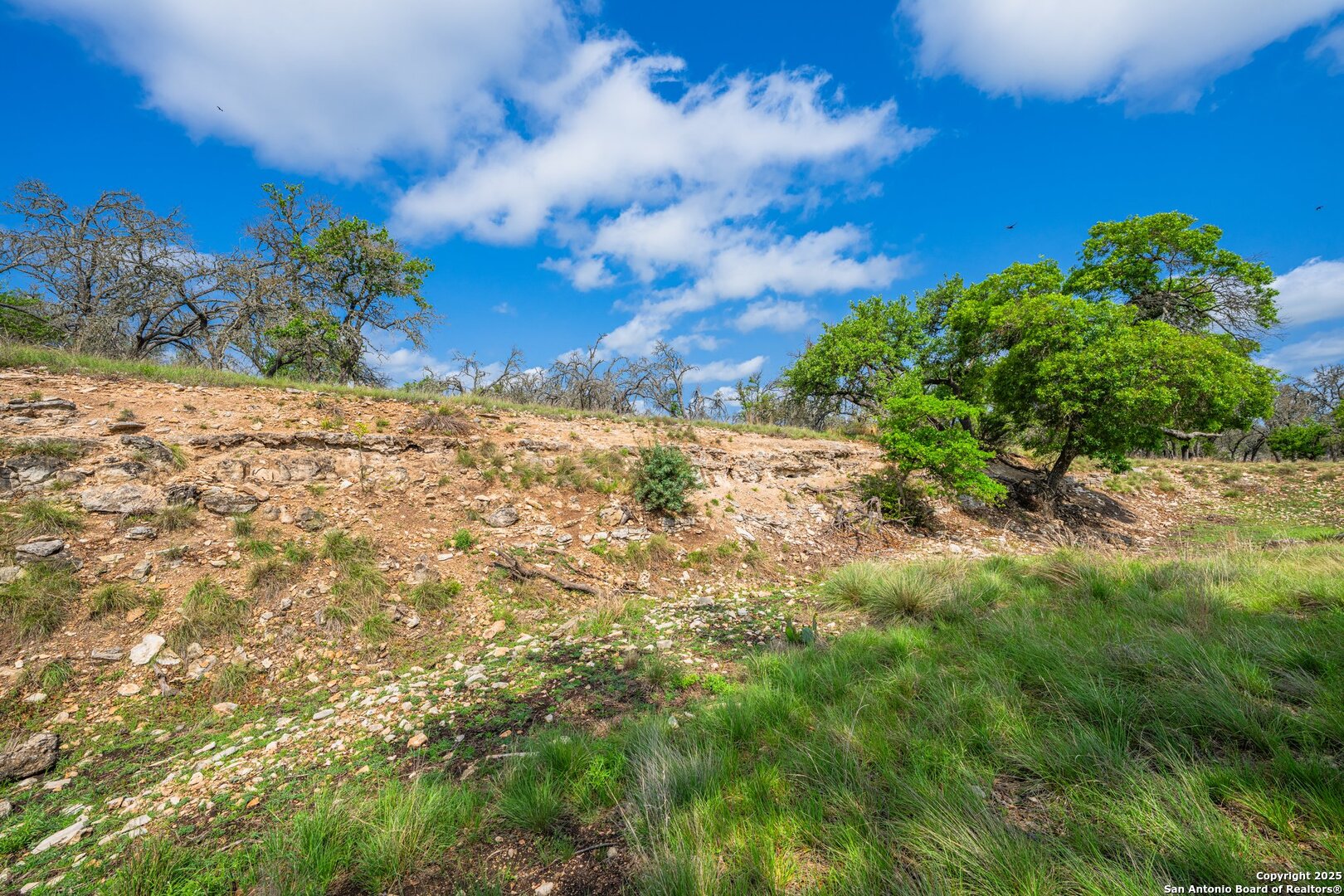 563 J B Road Harper, TX 78631 - Photo 37 of 41 a view of a yard with plants and a trees
