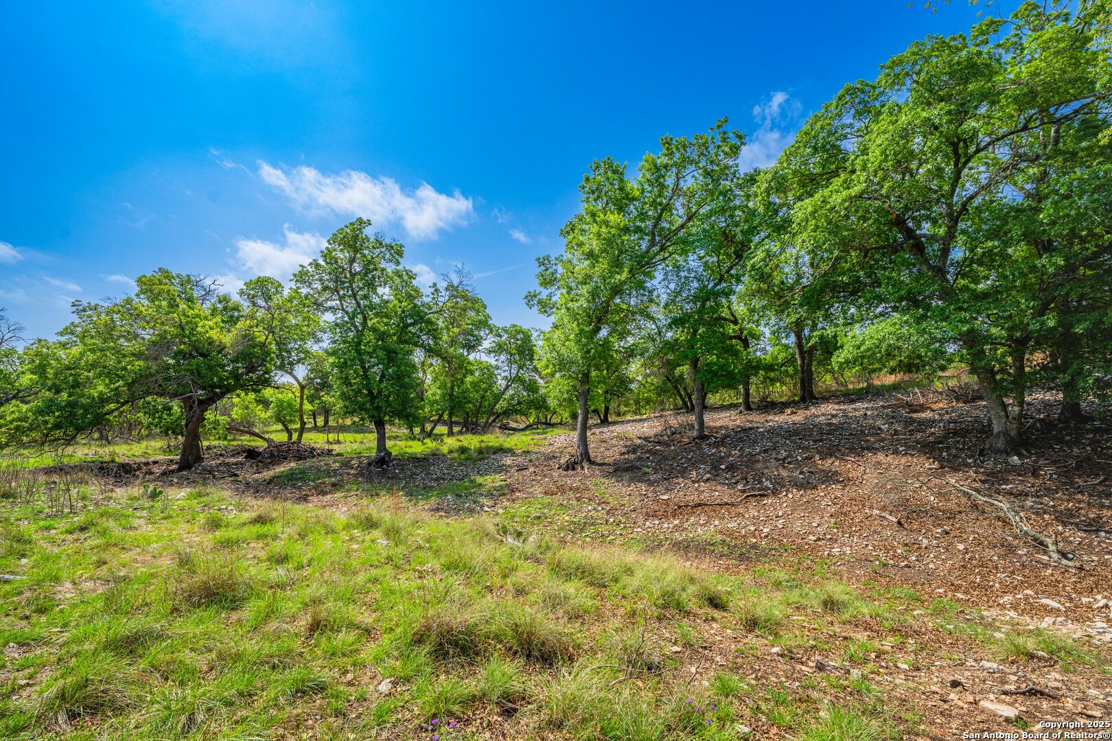 563 J B Road Harper, TX 78631 - Photo 38 of 41 a backyard of a house with lots of green space