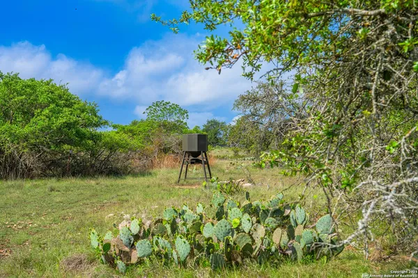a view of a garden