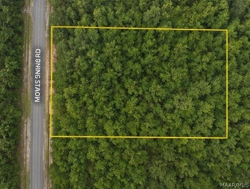 0 Morning Star Road Whatley, AL 36482 - Photo 9 of 9 Gallery Image 9