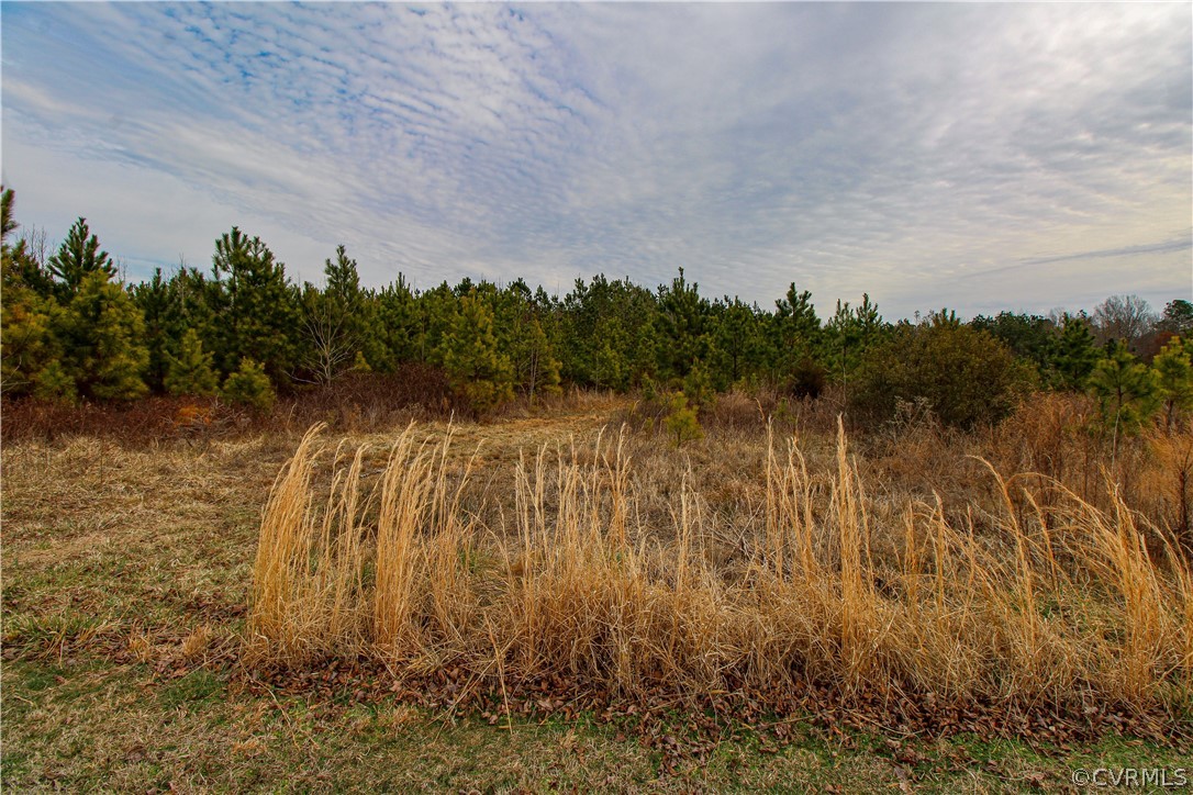 7201 Mt Hope Road Prince George, VA 23875 - Photo 9 of 11 Gallery Image 9