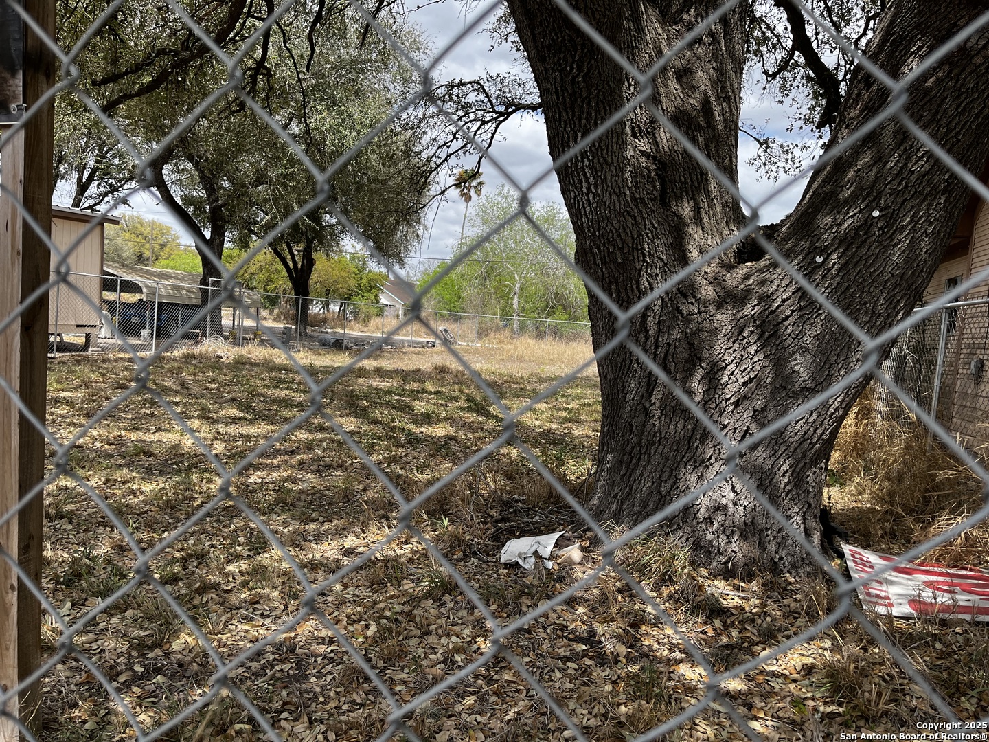 425 West Rice Street Falfurrias, TX 78355 - Photo 4 of 4