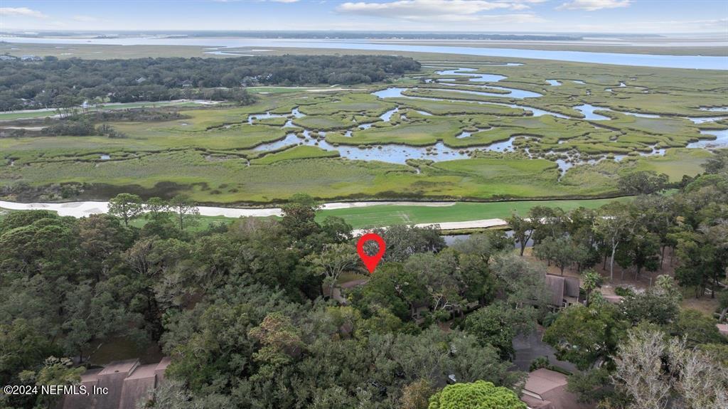 3041 Sea Marsh Road, Unit 3041 Fernandina Beach, FL 32034 - Photo 46 of 81 (45)