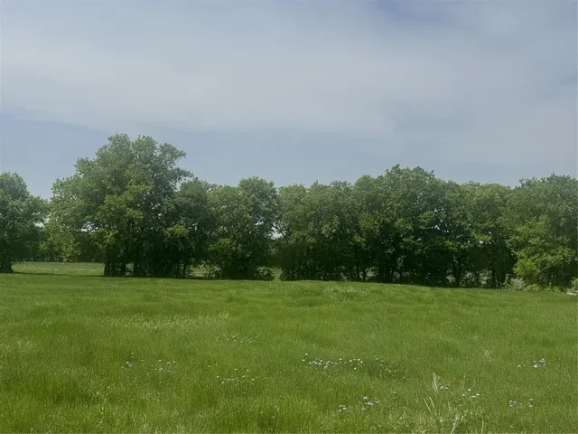 a view of a grassy field