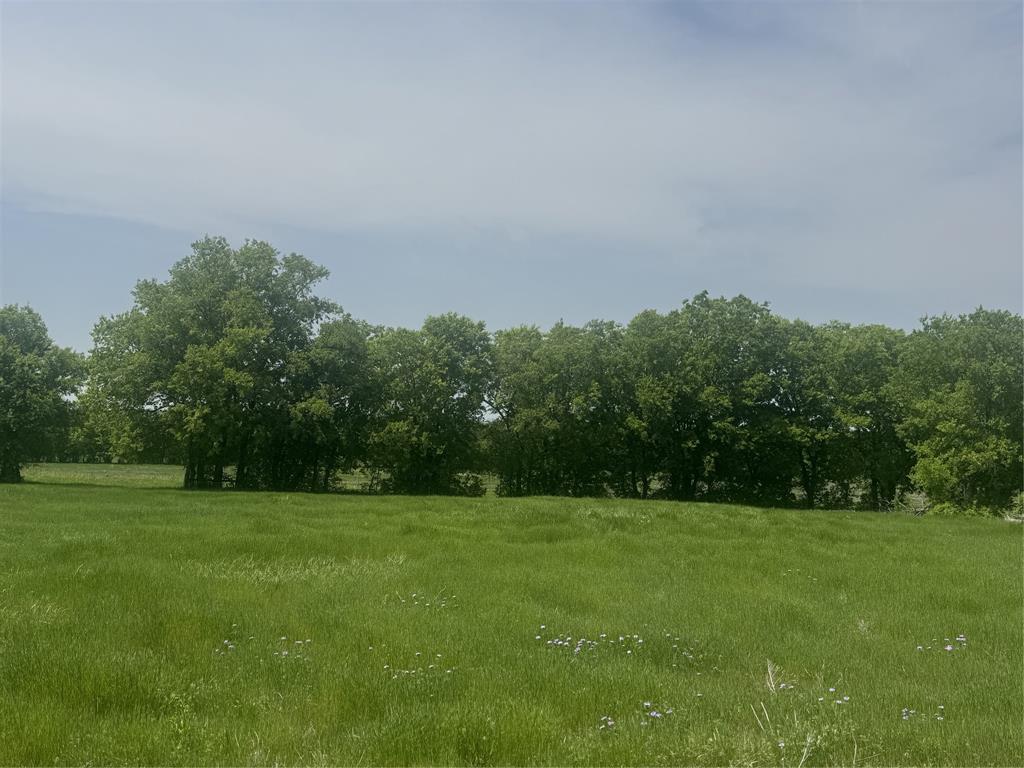 418 Private Road 4512 Decatur, TX 76234 - Photo 5 of 6 a view of a grassy field
