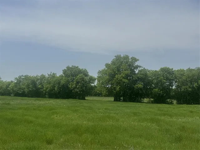 a view of a grassy field