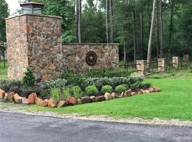 a view of a garden with plants