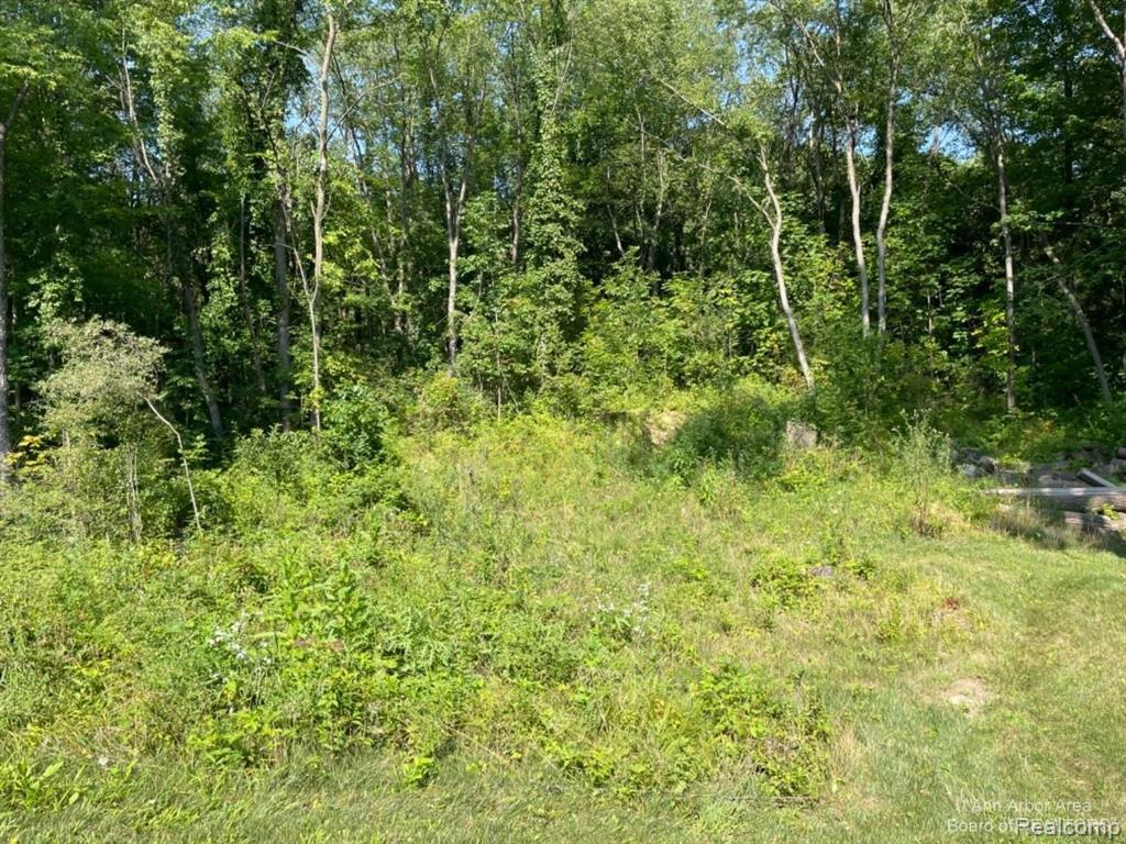Vl Denton Hills Road Fenton, MI 48430 - Photo 9 of 21