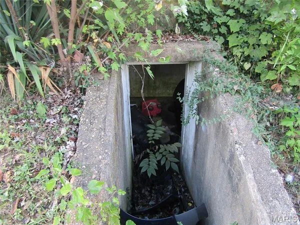 $35,500 | 426 East South Street, Mountain Grove, MO 65711