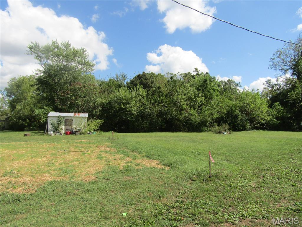 426 East South Street Mountain Grove, MO 65711 - Photo 3 of 12