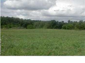 West Parmeter Road, Unit PAR 1 Ionia, MI 48846 - Photo 1 of 1 Primary Photo